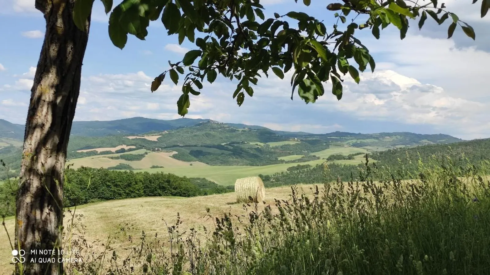 Podere Le Rote Villa Montecastelli Pisano Italy