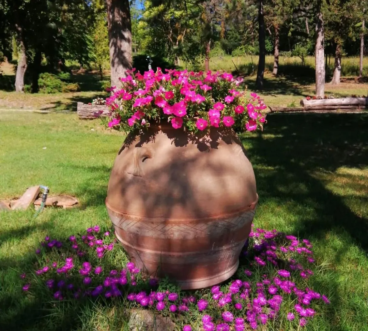 Podere Le Rote Villa Montecastelli Pisano Holiday home